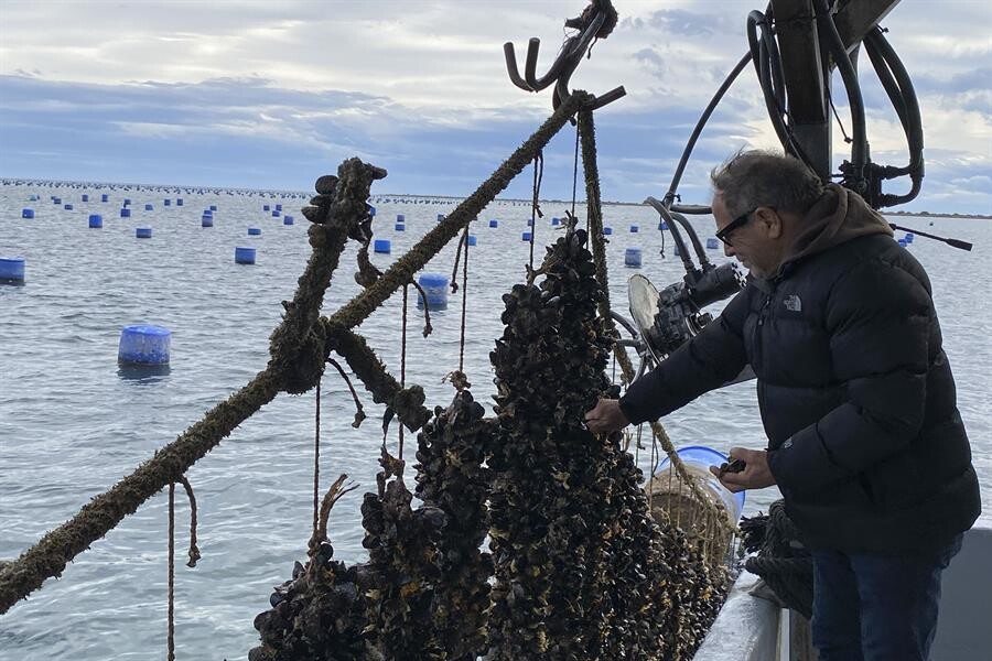 FAO призывает к устойчивым практикам рыболовства и аквакультуры для обеспечения глобальной продовольственной безопасности