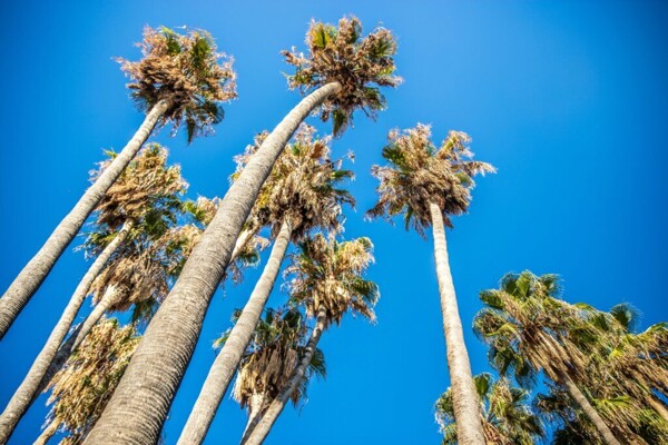 The Flag of Costa Rica: A Symbol of Peace and National Pride