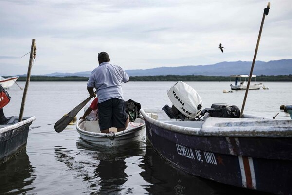 Рекордное глобальное производство рыболовства и аквакультуры в 2022 году