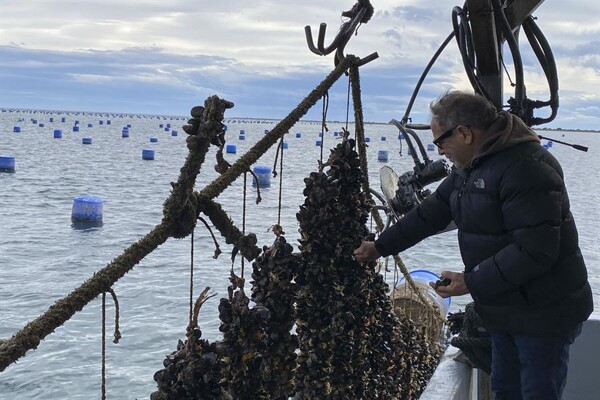 FAO призывает к устойчивым практикам рыболовства и аквакультуры для обеспечения глобальной продовольственной безопасности
