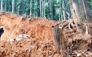 Illegal Gold Mining and Organized Crime Growth in Costa Rica